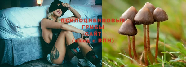 первитин Мегион