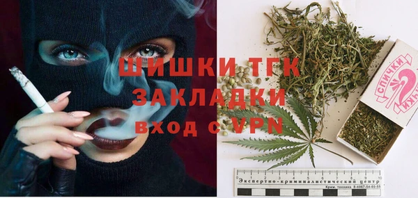 дживик Медвежьегорск