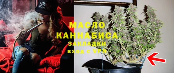 ешки Медногорск