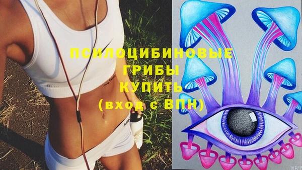 ешки Медногорск