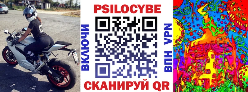 darknet наркотические препараты  Хадыженск  Галлюциногенные грибы мухоморы  купить  цена 